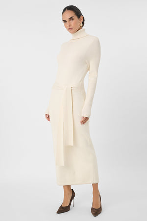Logan Turtleneck Dress - Toccin