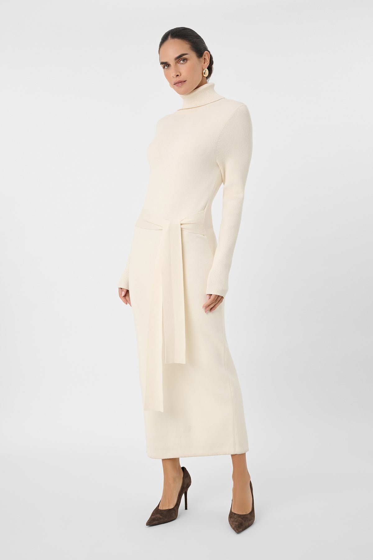 Logan Turtleneck Dress - Toccin