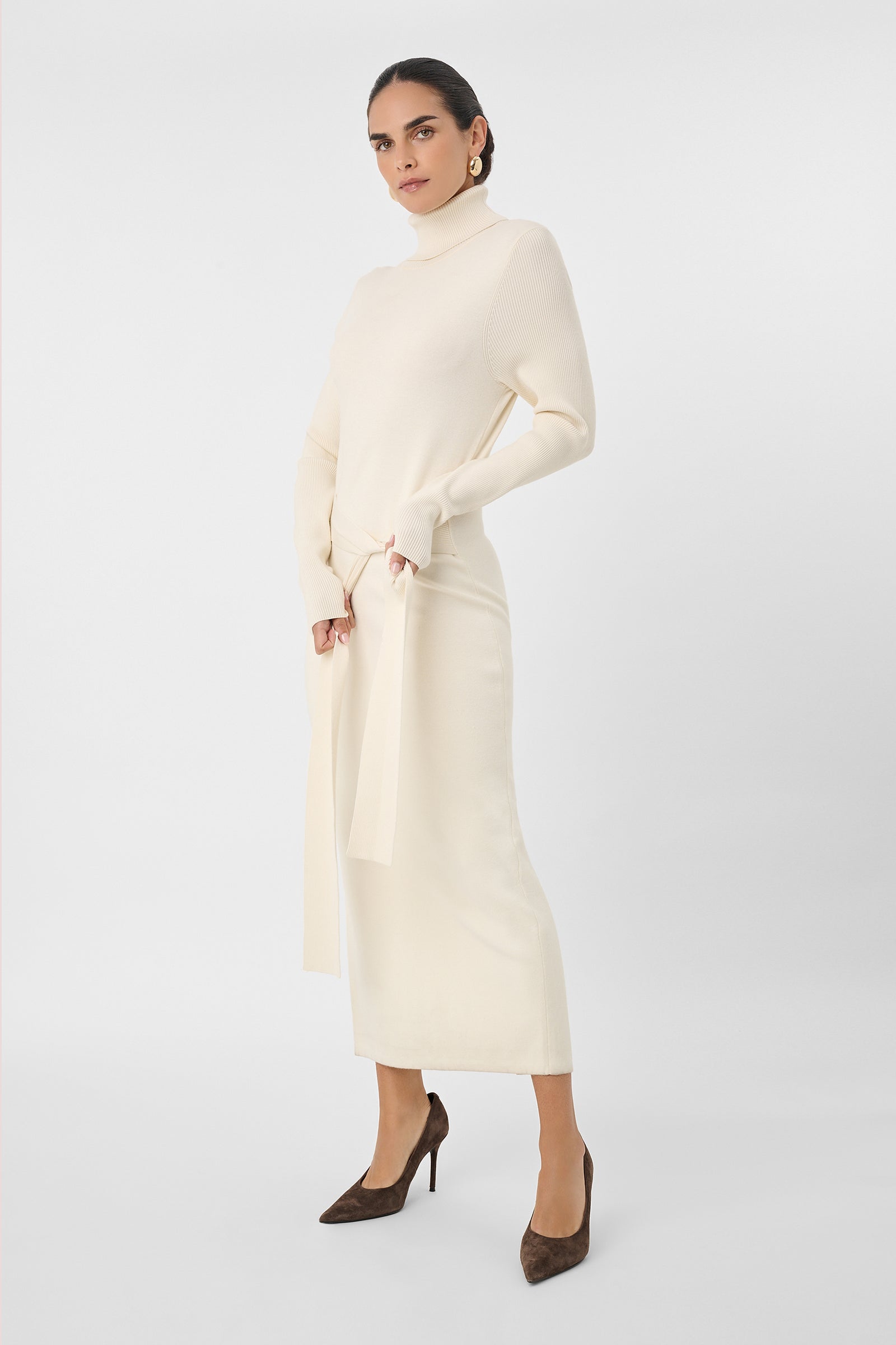 Logan Turtleneck Dress - Toccin