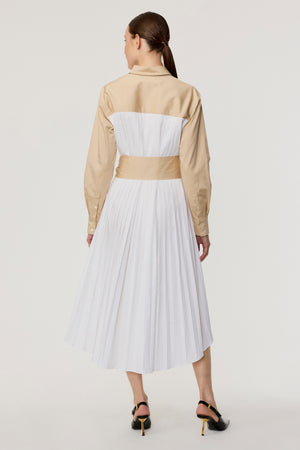 Ariella Pleated Dress