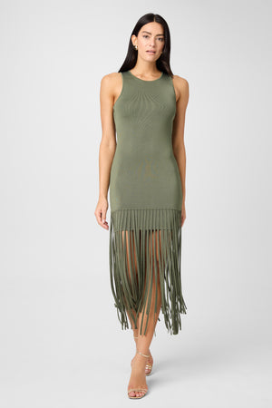 Margaux Fringe Knit Dress