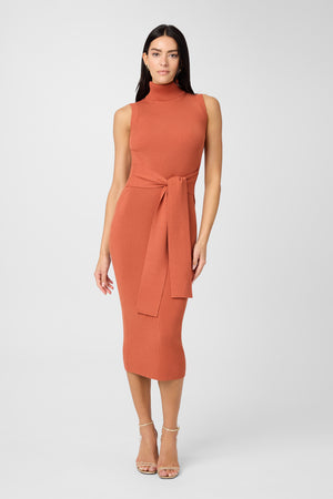 Rowan Tie Front Turtleneck Dress