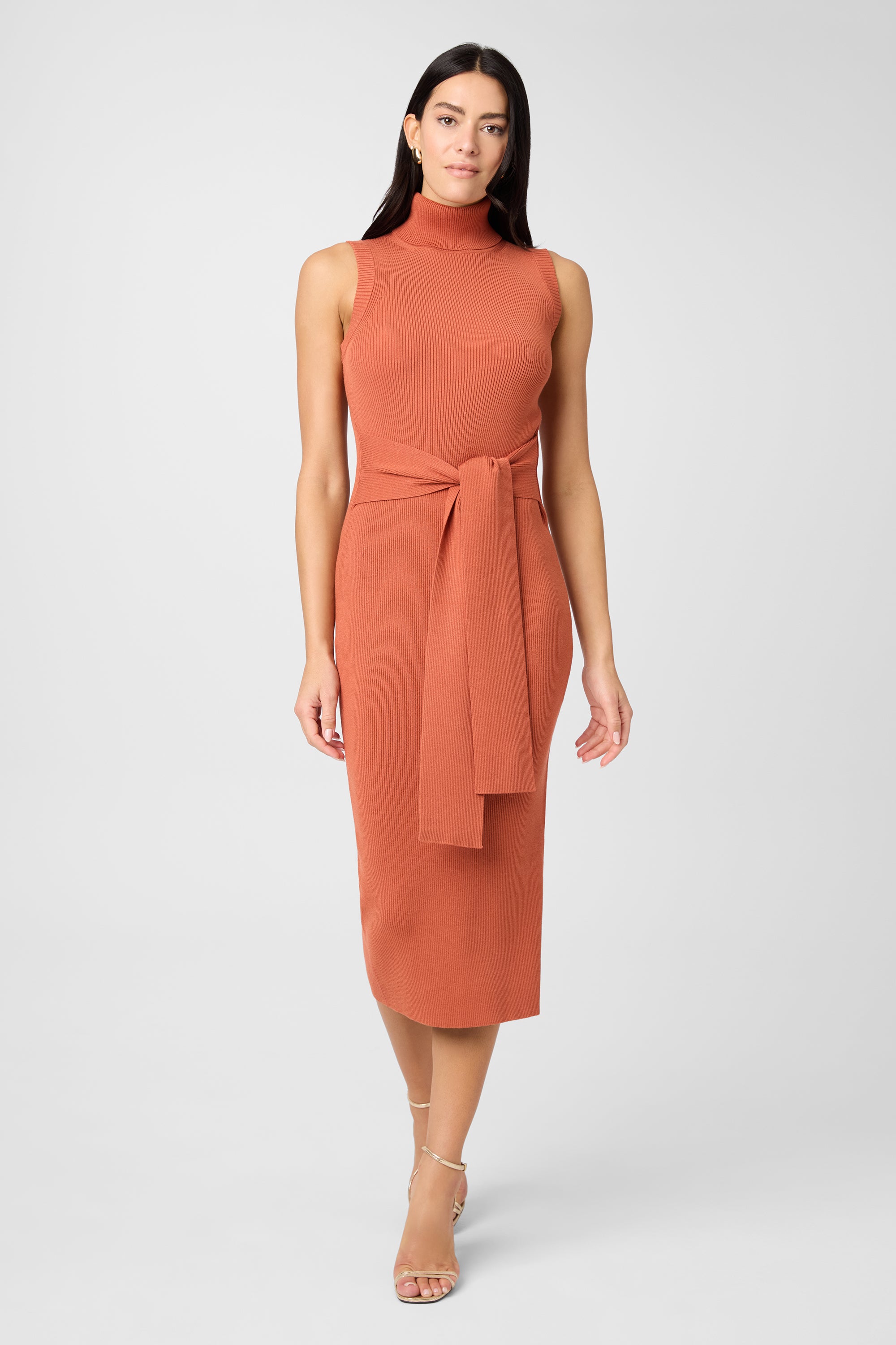Rowan Tie Front Turtleneck Dress