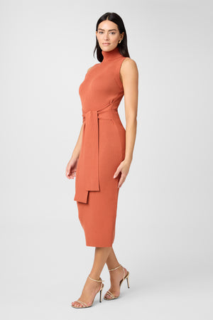 Rowan Tie Front Turtleneck Dress