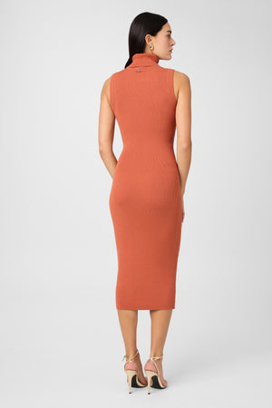 Rowan Tie Front Turtleneck Dress