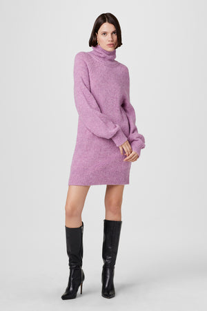Lena Turtleneck Sweater Dress - Toccin