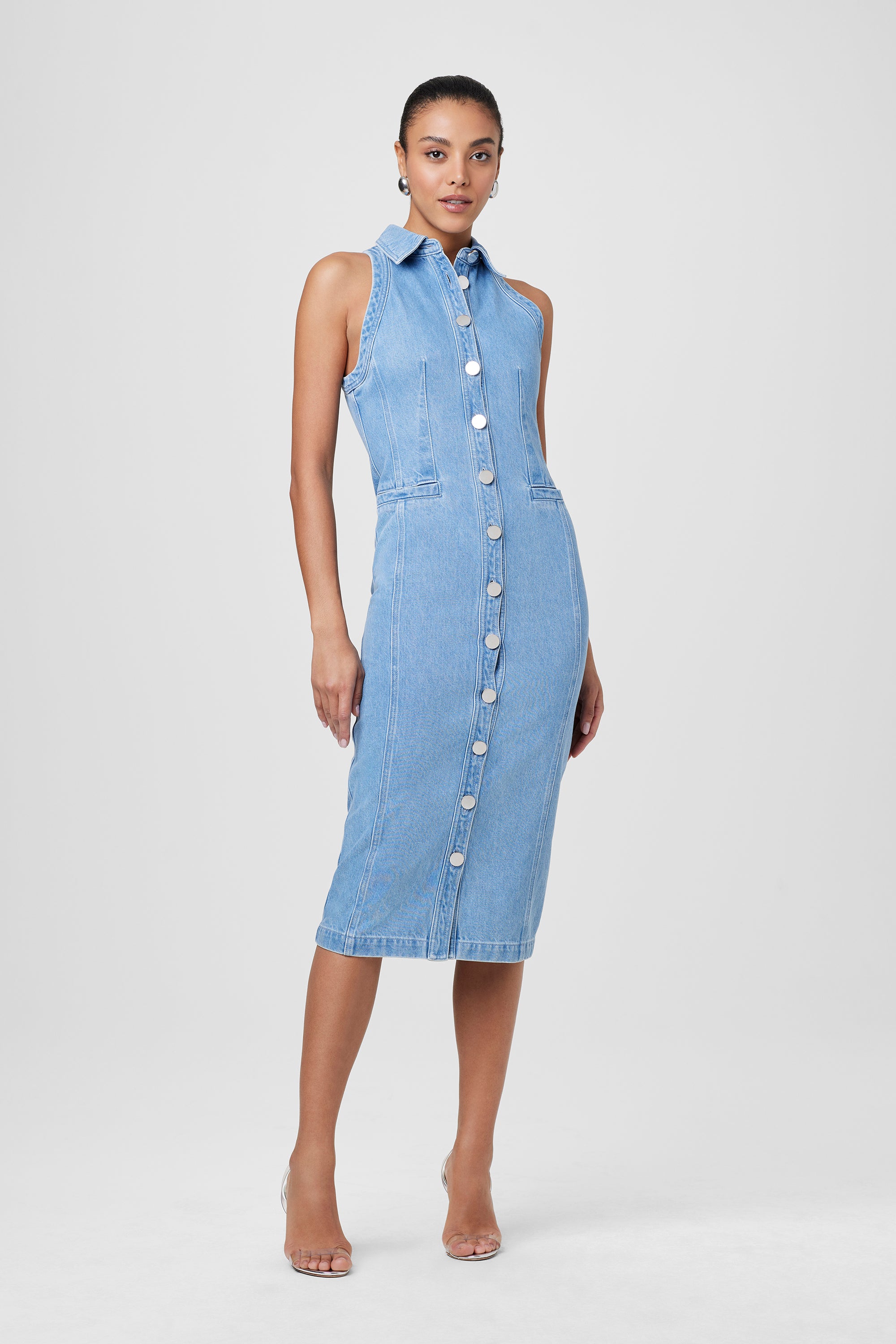 Palmer Button Down Denim Dress