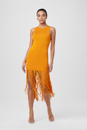 Margaux Fringe Knit Dress