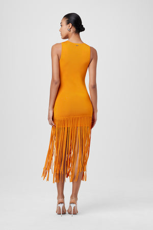 Margaux Fringe Knit Dress