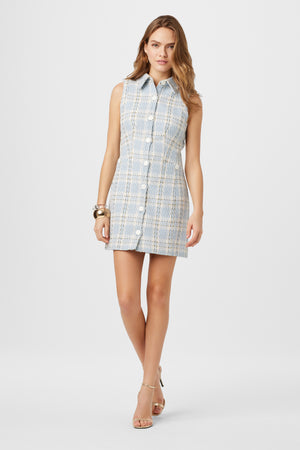 Sophia Sleeveless Mini Dress - Toccin